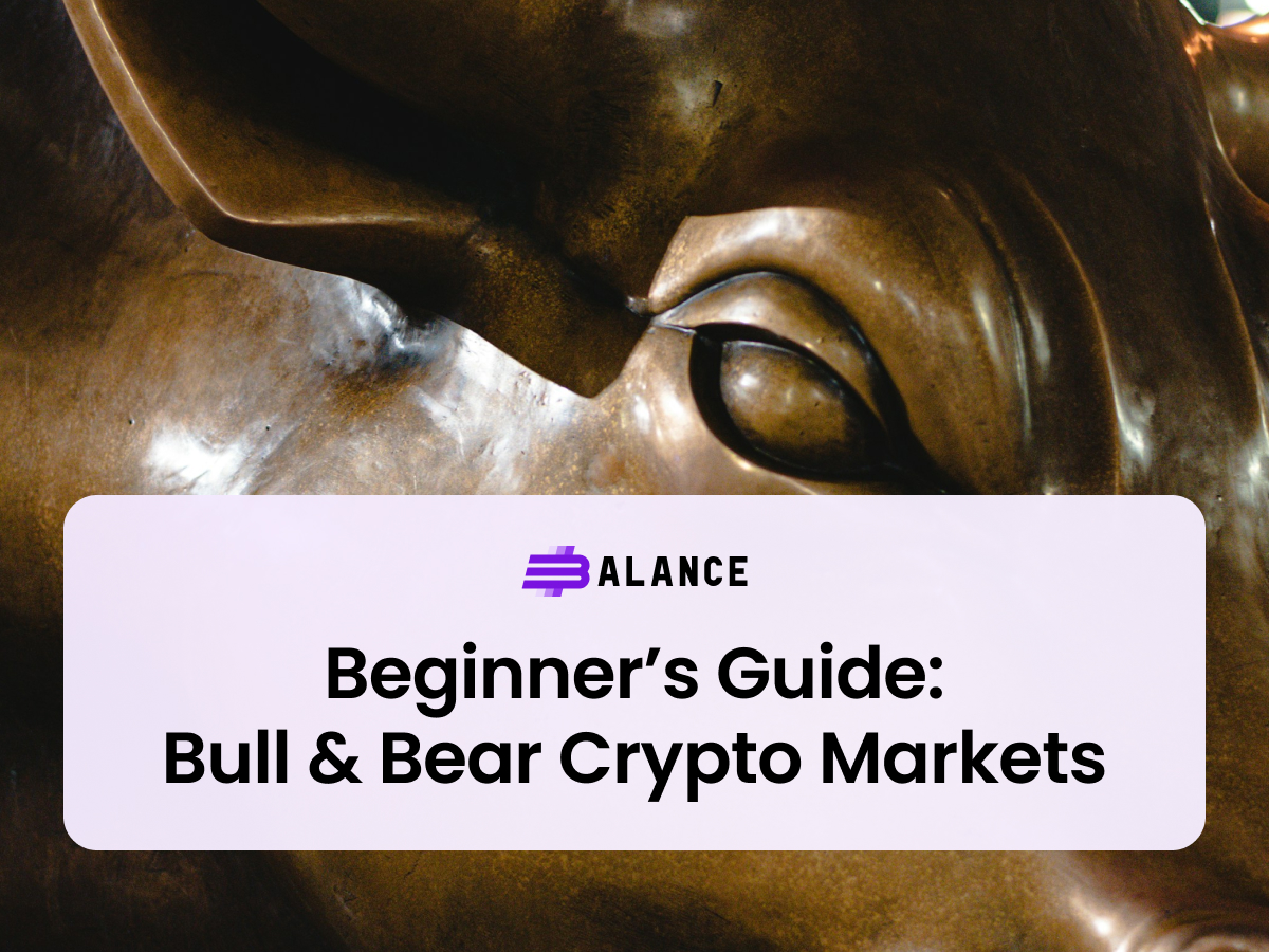 Bull & Bear Crypto Market Guide